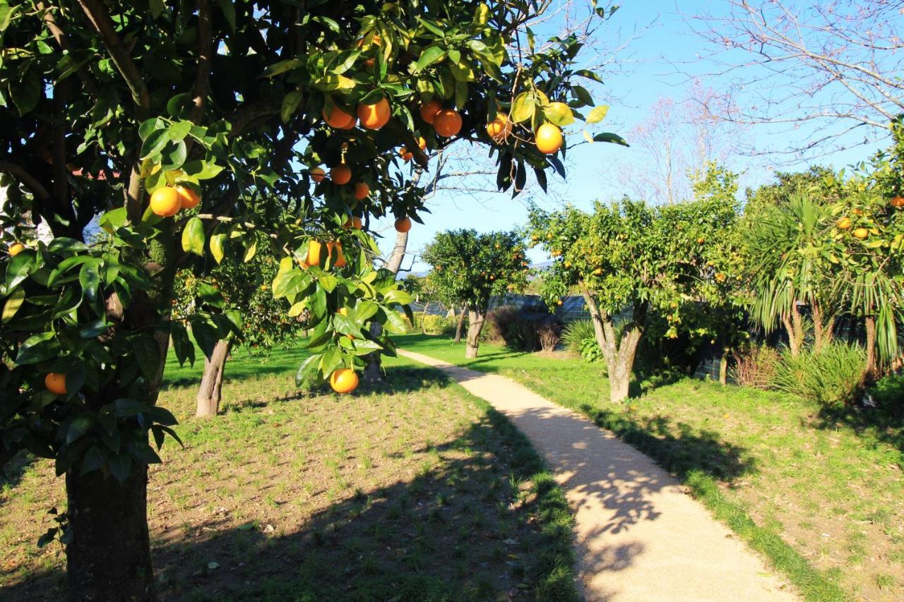 Casa Dos Ouricos Βίλα Ponte de Lima Εξωτερικό φωτογραφία